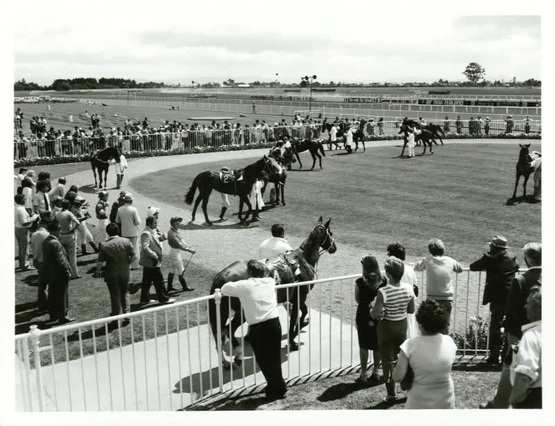 Sports - Equestiran and Racing - Horse racing, 1982