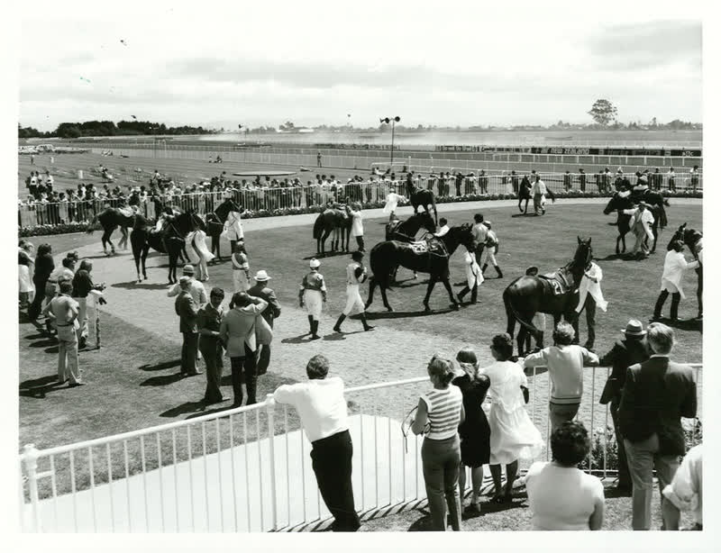 Sports - Equestiran and Racing - Horse racing, 1982