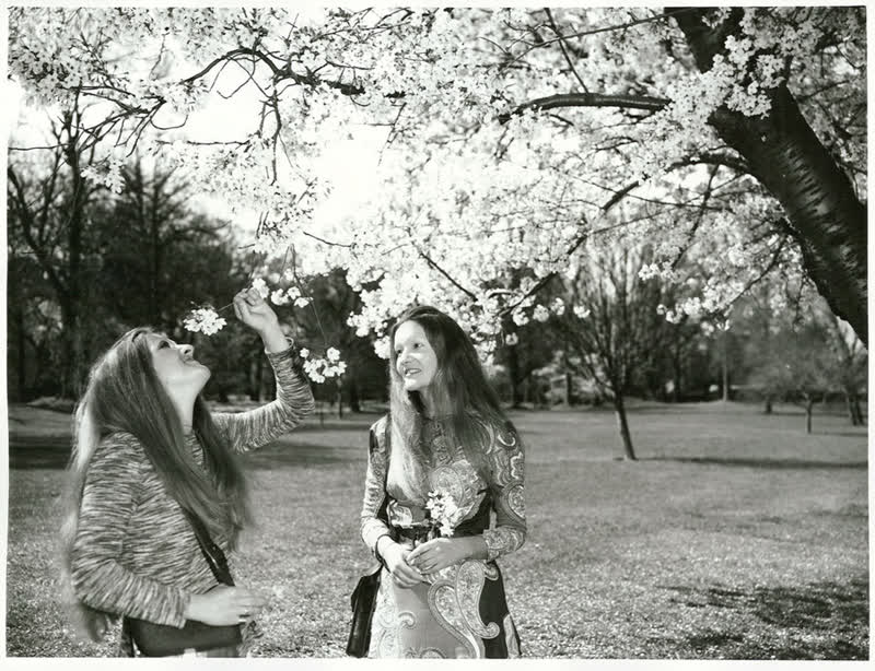 Canterbury - Christchurch City - Hagley Park, 1971
