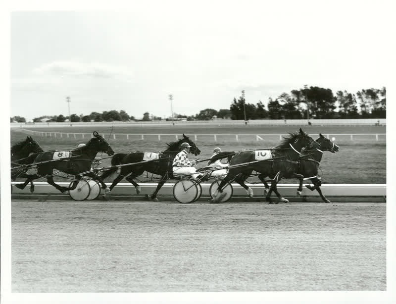 Sports - Equestiran and Racing - Horse racing - Trotting, 1982
