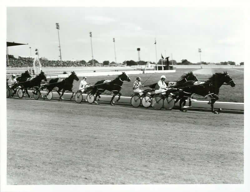 Sports - Equestiran and Racing - Horse racing - Trotting, 1982
