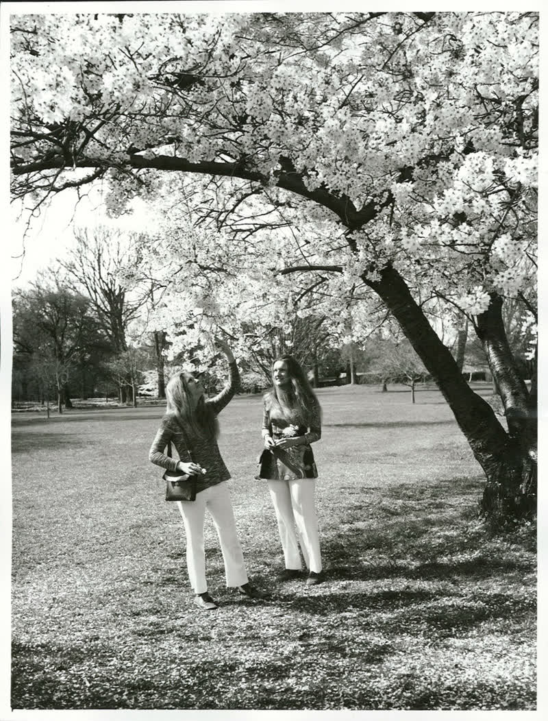 Canterbury - Christchurch City - Hagley Park, 1971