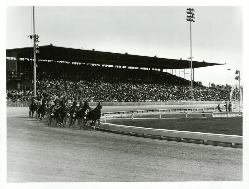 Sports - Equestiran and Racing - Horse racing - Trotting, 1982
