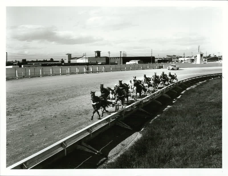 Sports - Equestiran and Racing - Horse racing - Trotting, 1982