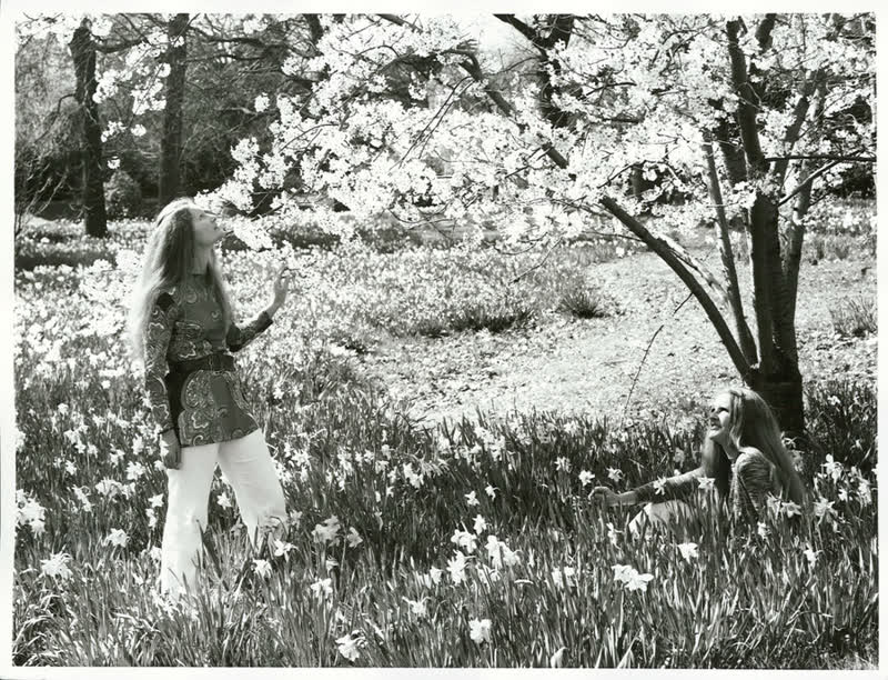 Canterbury - Christchurch City - Hagley Park, 1971
