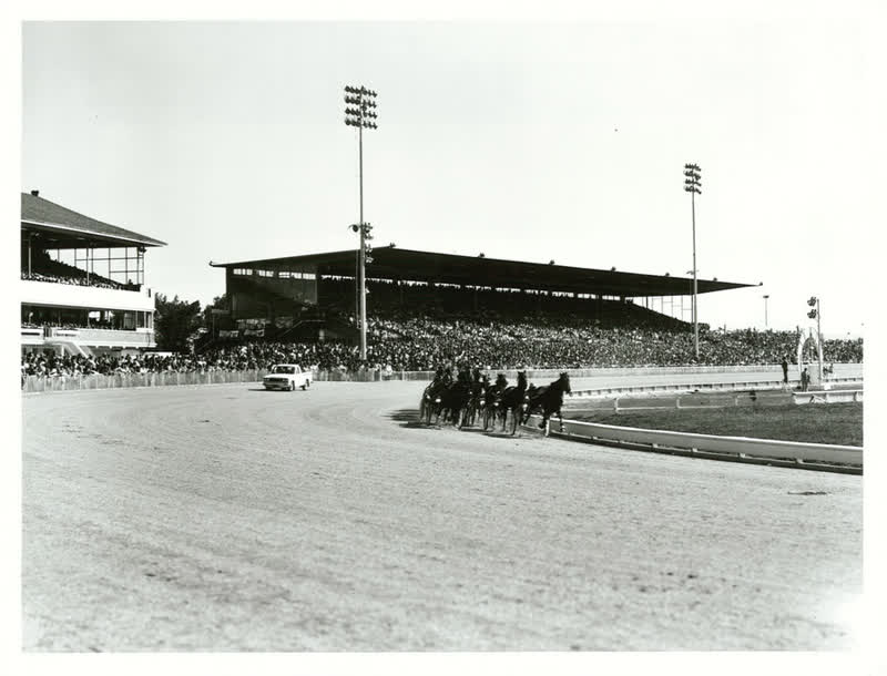 Sports - Equestiran and Racing - Horse racing - Trotting, 1982