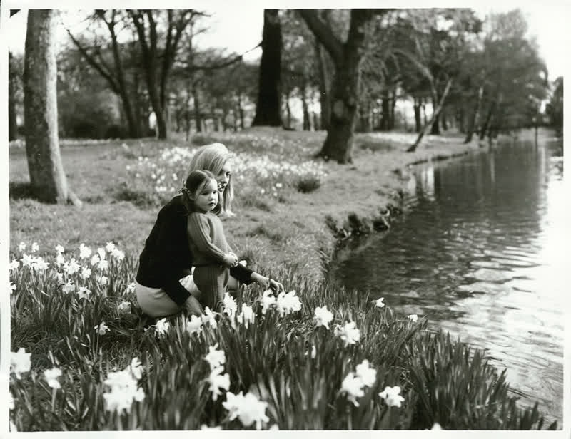 Canterbury - Christchurch City - Avon River, 1971