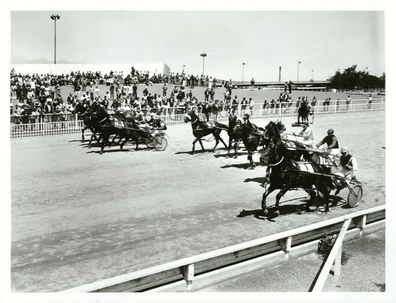 Sports - Equestiran and Racing - Horse racing - Trotting, 1982