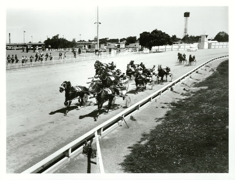 Sports - Equestiran and Racing - Horse racing - Trotting, 1982