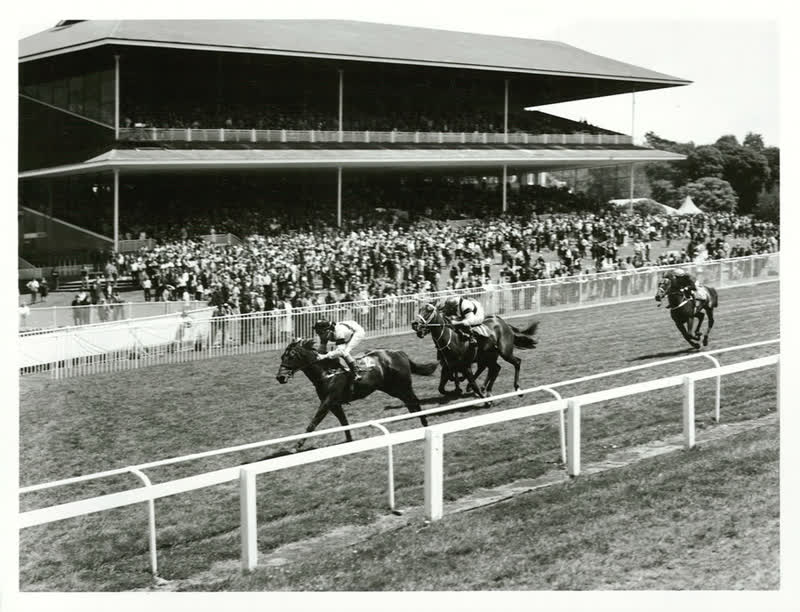 Sports - Equestiran and Racing - Horse racing, 1982