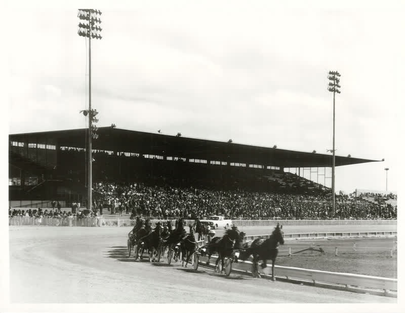 Sports - Horse-racing - Christchurch, 1978