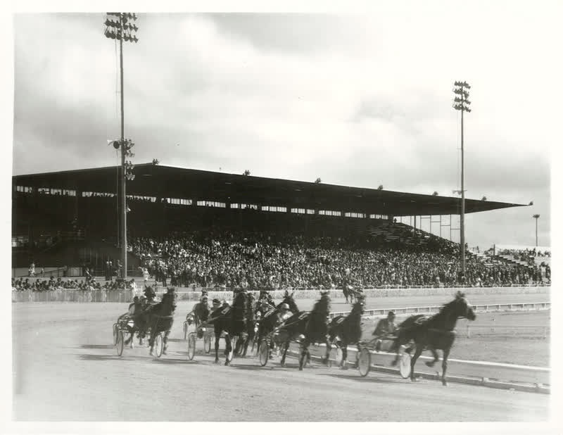 Sports - Horse-racing - Christchurch, 1978