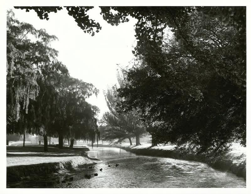 Canterbury - Christchurch City - Avon River, 1980