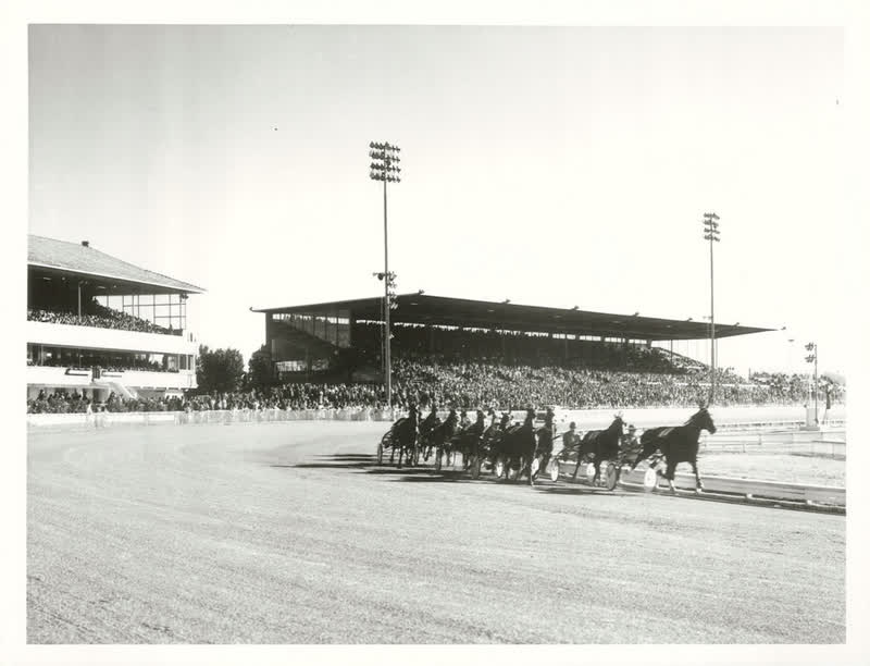 Sports - Horse-racing - Christchurch, 1978
