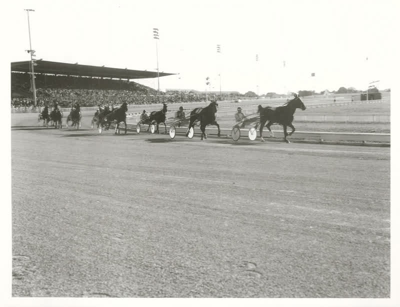 Sports - Horse-racing - Christchurch, 1978
