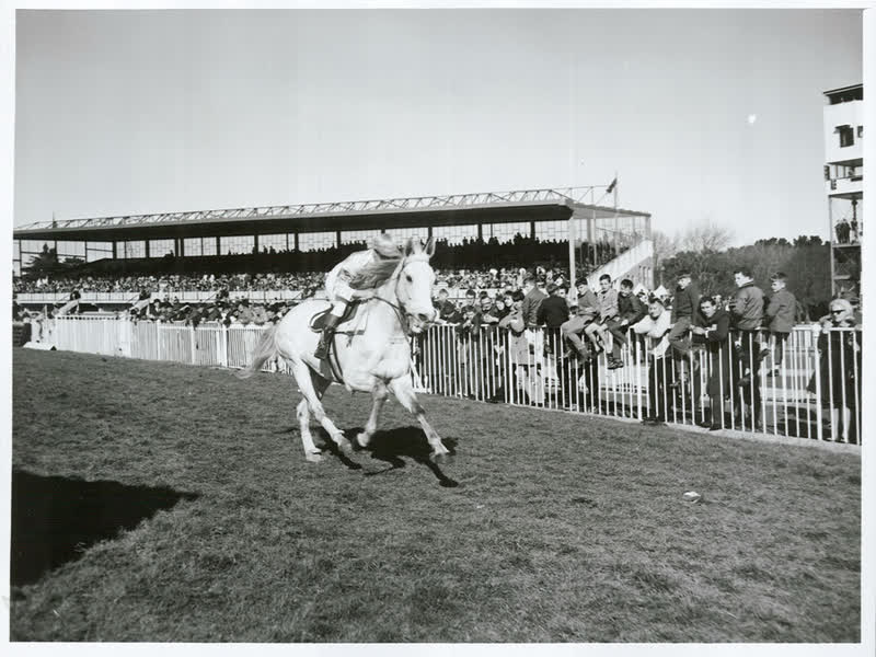 Sports - Horse Racing - Christchurch, 1967