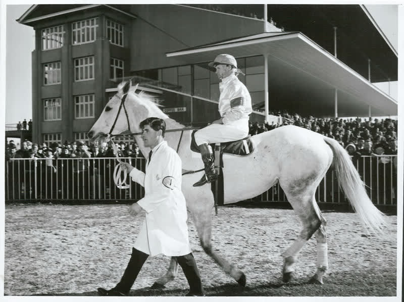 Sports - Horse Racing - Christchurch, 1967
