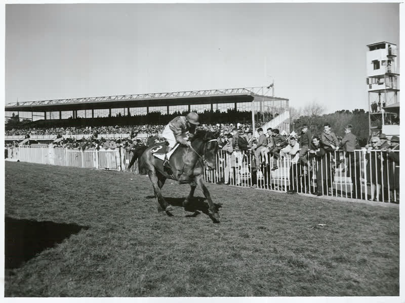Sports - Horse Racing - Christchurch, 1967