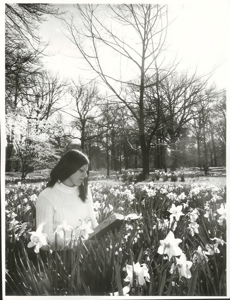 Canterbury - Christchurch City - Hagley Park, 1972
