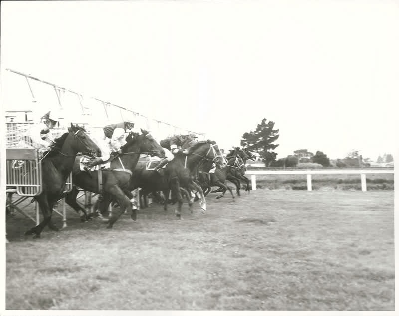 Sports - Horse Racing - Christchurch, 1972