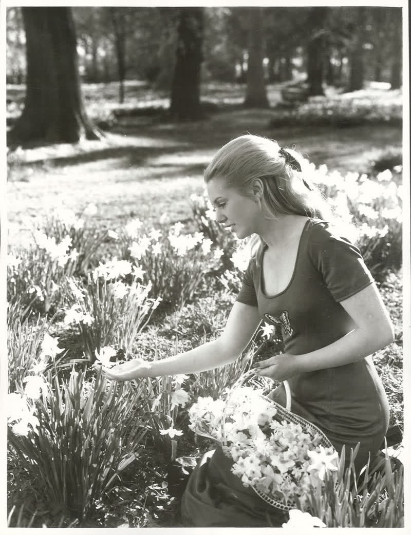 Government Service - Tourist and Publicity Department - N.P.S. [National Publicity Studios] - Models, 1972
