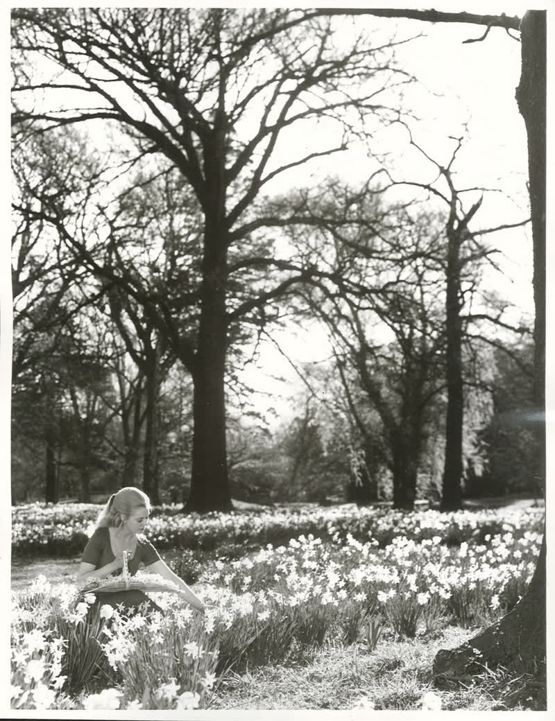 Canterbury - Christchurch City - Hagley Park, 1972