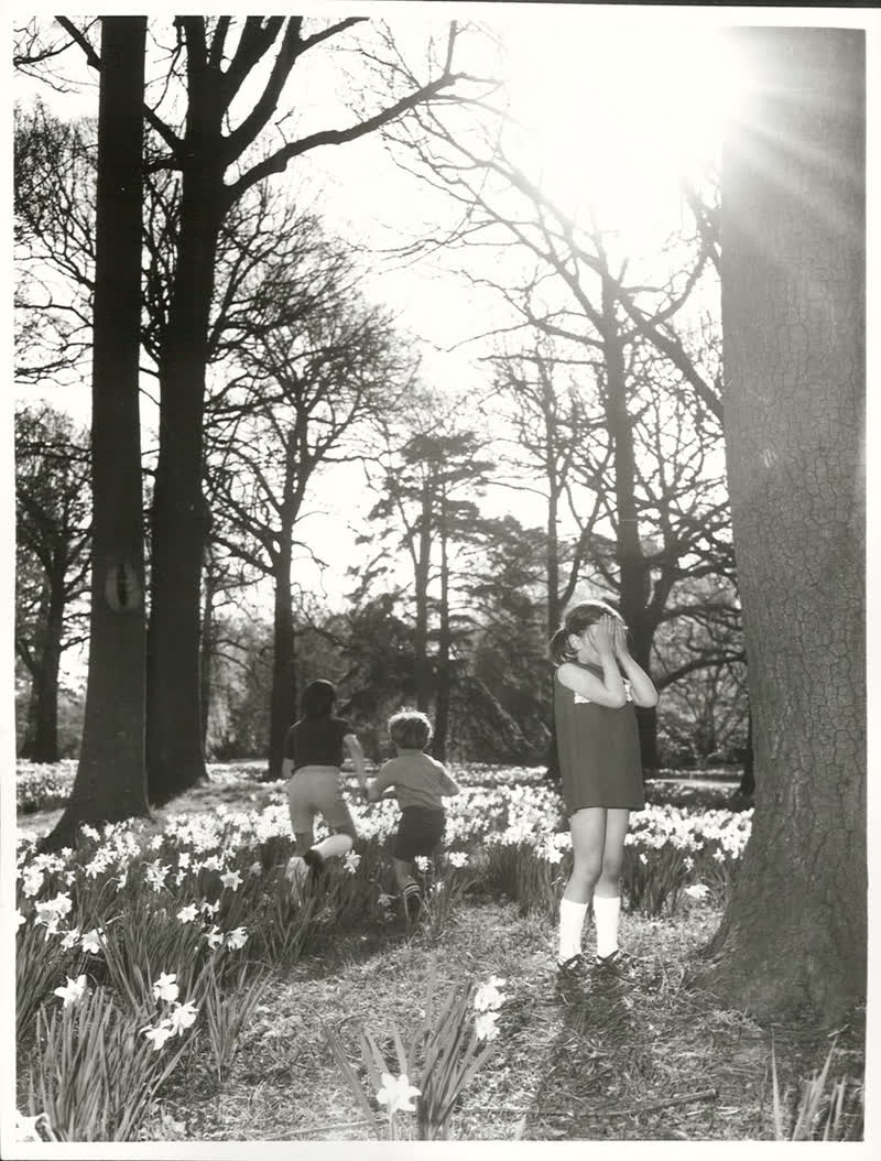 Canterbury - Christchurch City - Hagley Park, 1972