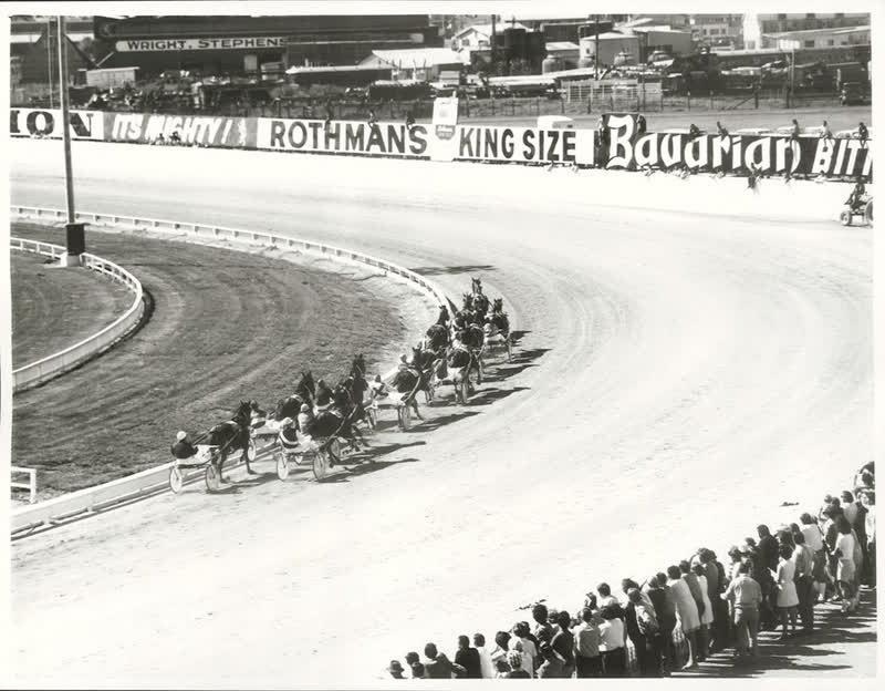 Sports - Horse Racing - Christchurch, 1972
