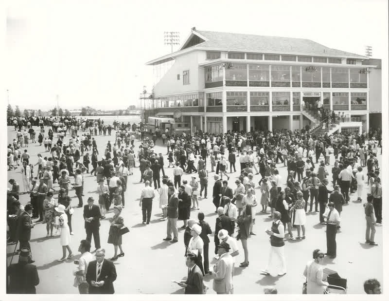 Sports - Horse Racing - Christchurch, 1972