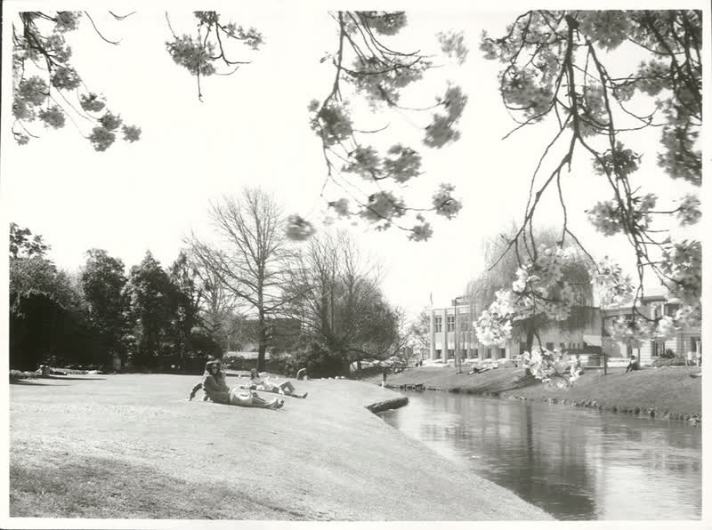 Canterbury - Christchurch City - Avon River, 1972