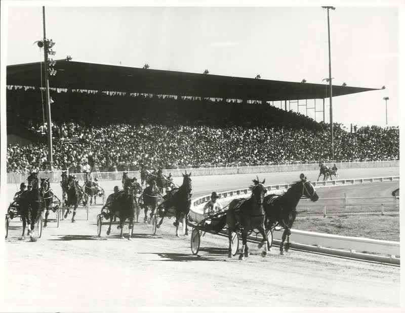 Sports - Horse Racing - Christchurch, 1972