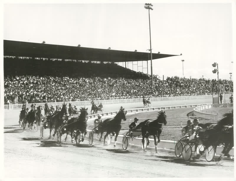Sports - Horse Racing - Christchurch, 1972