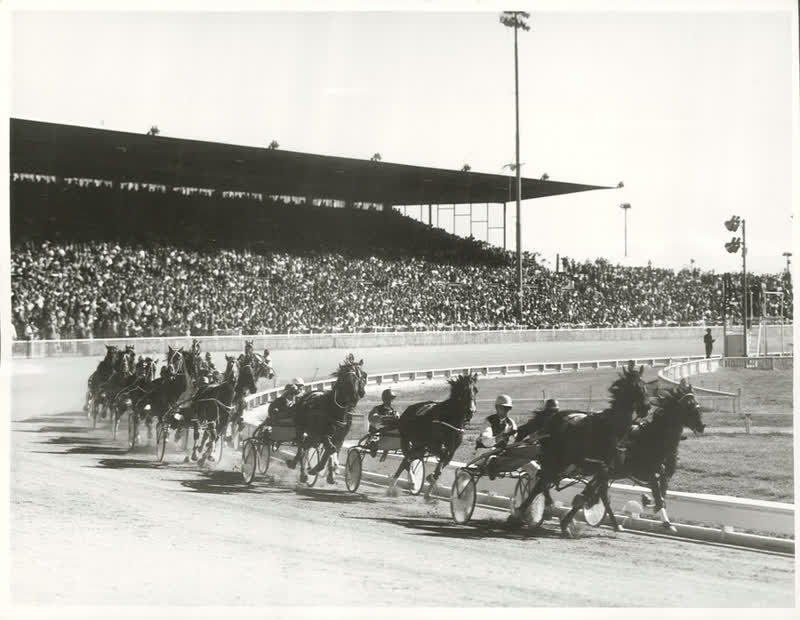 Sports - Horse Racing - Christchurch, 1972