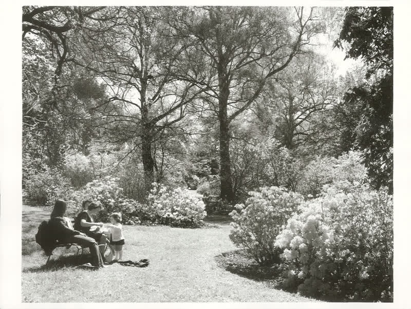 Canterbury - Christchurch City - Parks and Reserves, 1974