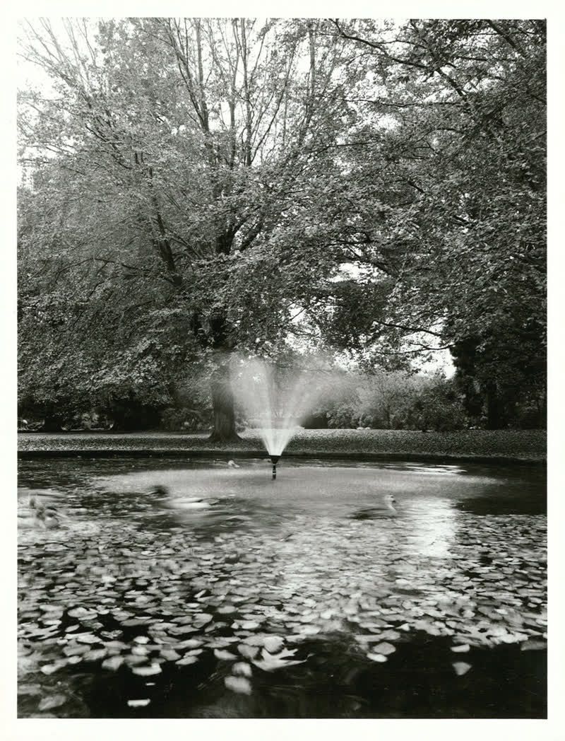 Canterbury - Christchurch - Parks & Reserves, 1980