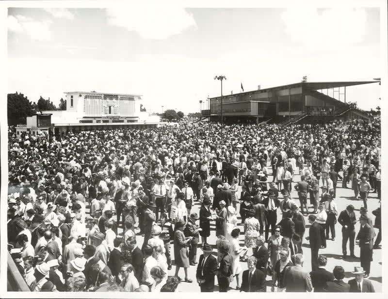 Sports - Horse Racing - Christchurch, 1972