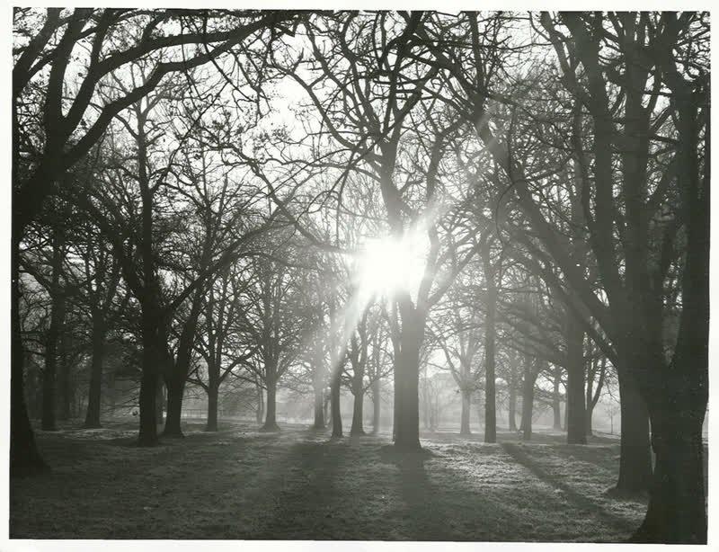 Canterbury  - Christchurch City - Hagley Park, 1975