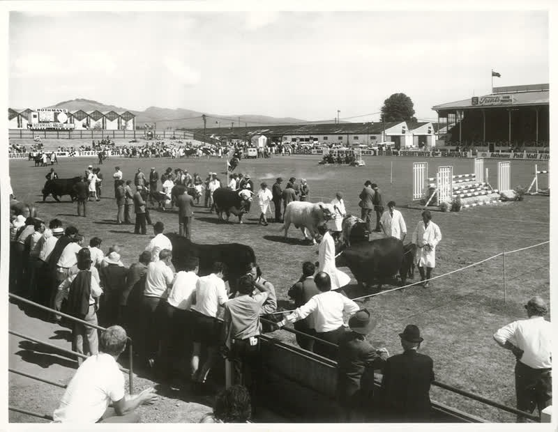 Agriculture - Shows, 1972