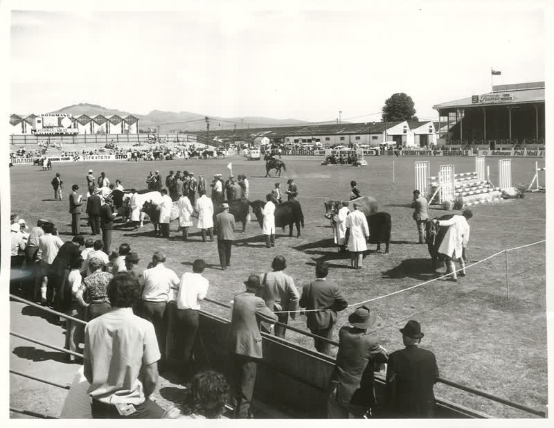 Agriculture - Shows, 1972
