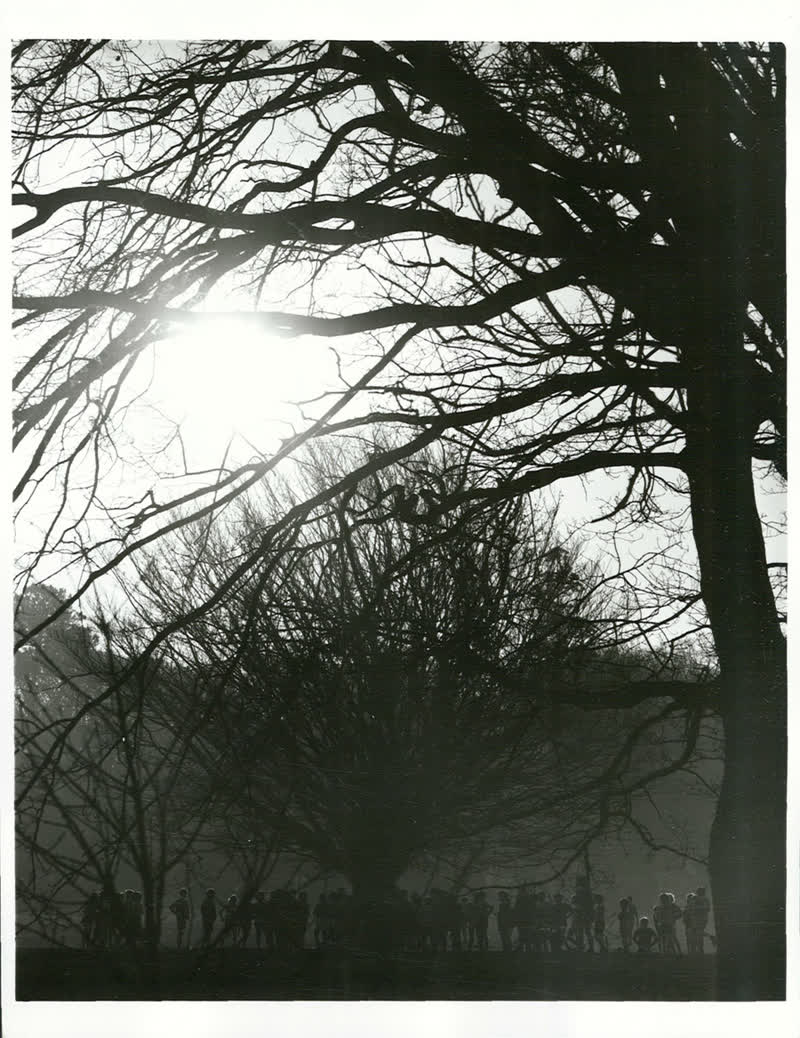 Canterbury - Christchurch City - Parks & Reserves, 1973