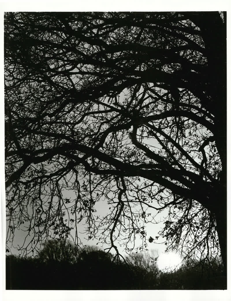 Canterbury - Christchurch City - Parks & Reserves, 1973