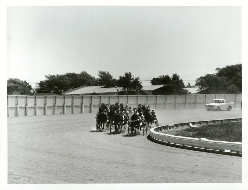 SPORTS - Equestrian & Racing - Horseracing - Trotting, 1982