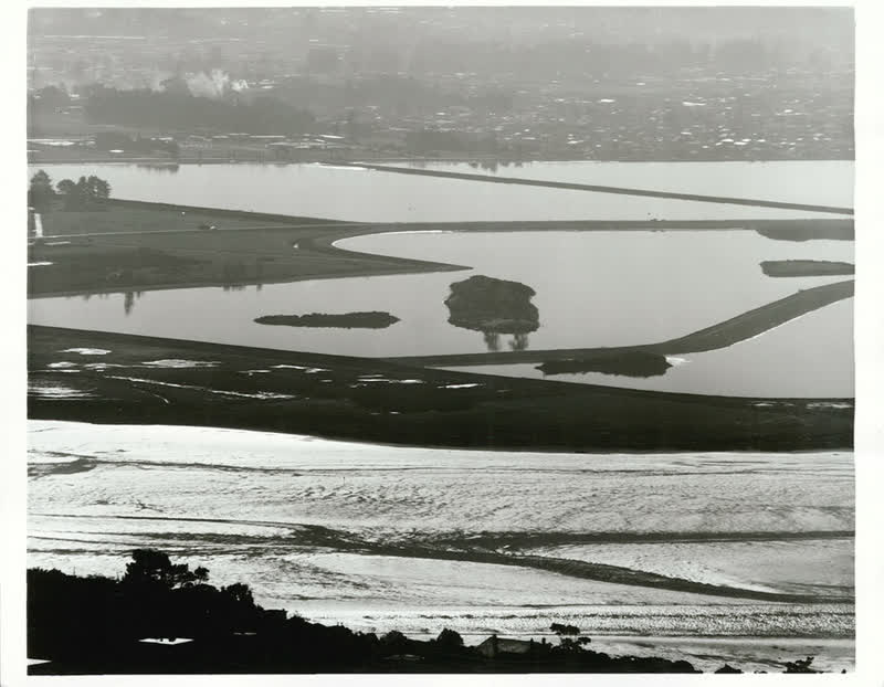 Beach Scenes, 1973