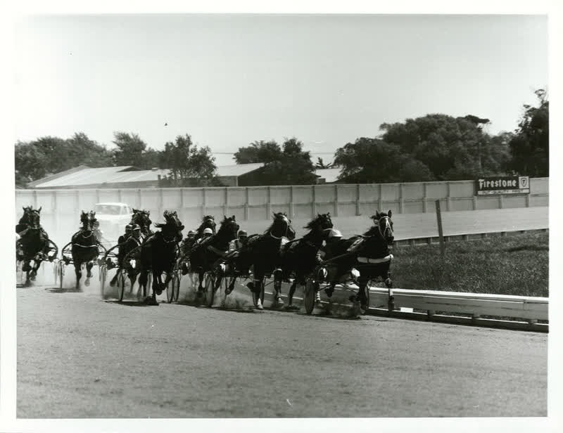SPORTS - Equestrian & Racing - Horseracing - Trotting, 1982
