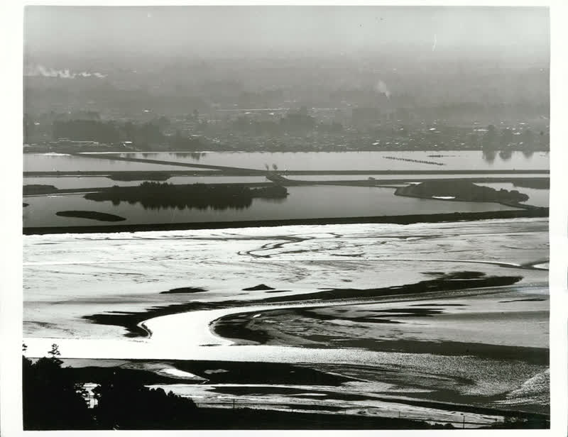 Beach Scenes, 1973