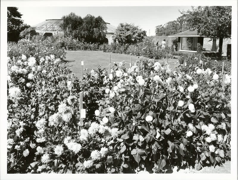 Canterbury - Historic Buildings, 1983
