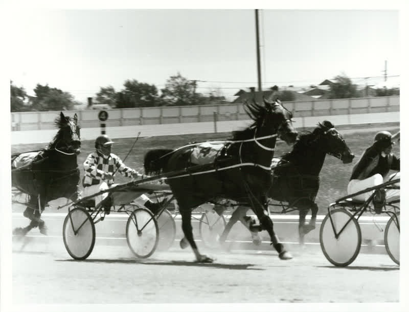 SPORTS - Equestrian & Racing - Horseracing - Trotting, 1982