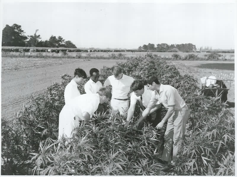 Agriculture - Education - Canterbury Ag College, 1969