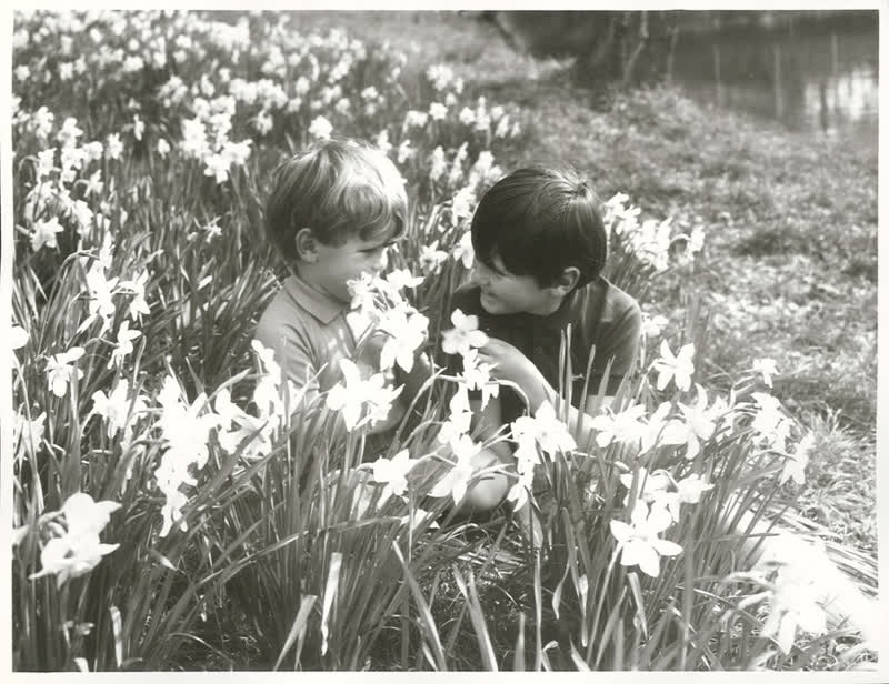 Canterbury - Christchurch City - Hagley Park, 1972