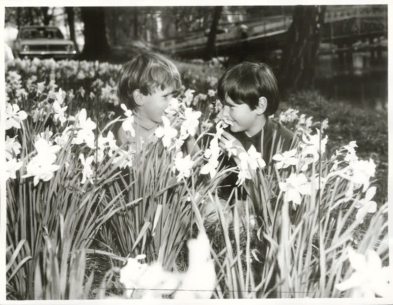 Canterbury - Christchurch City - Hagley Park, 1972